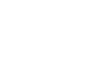 Novelty Homes